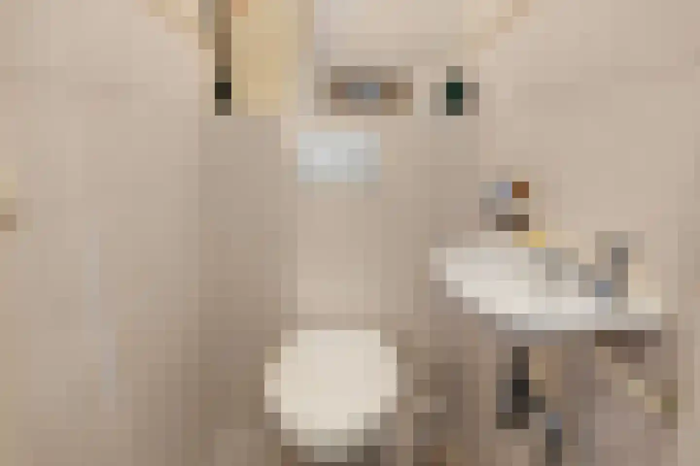 Gevers Deynootweg 1000 Den Haag thumbnail 24