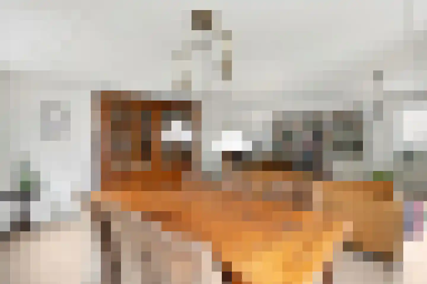 Gevers Deynootweg 1000 Den Haag thumbnail 4