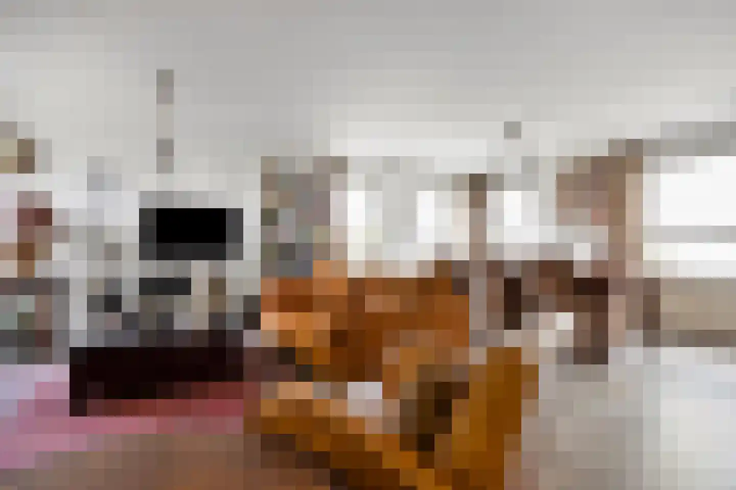 Gevers Deynootweg 1000 Den Haag thumbnail 7