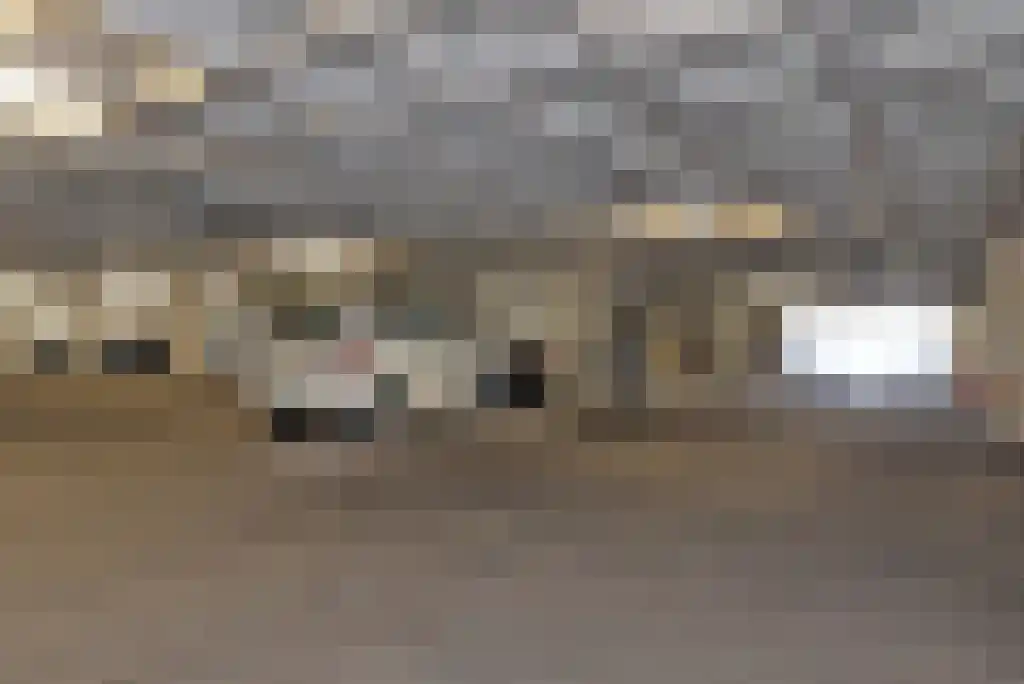 Gevers Deynootweg 1050 Den Haag thumbnail 36