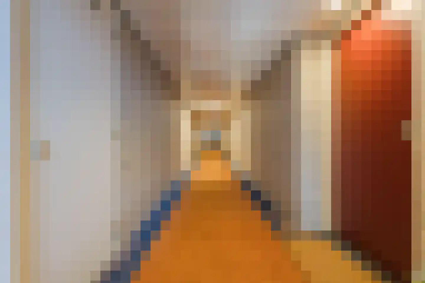 Gevers Deynootweg 1072 Den Haag thumbnail 11