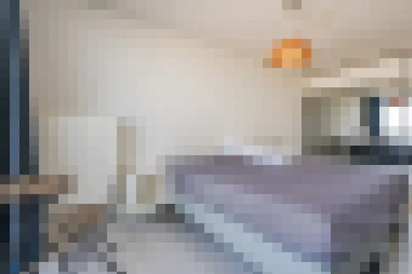 Gevers Deynootweg 1072 Den Haag thumbnail 32