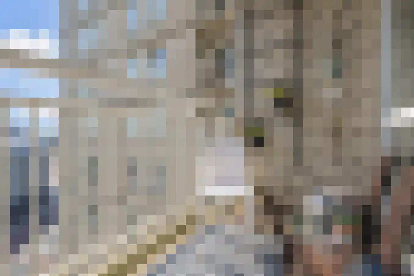 Gevers Deynootweg 1084 A Den Haag thumbnail 17