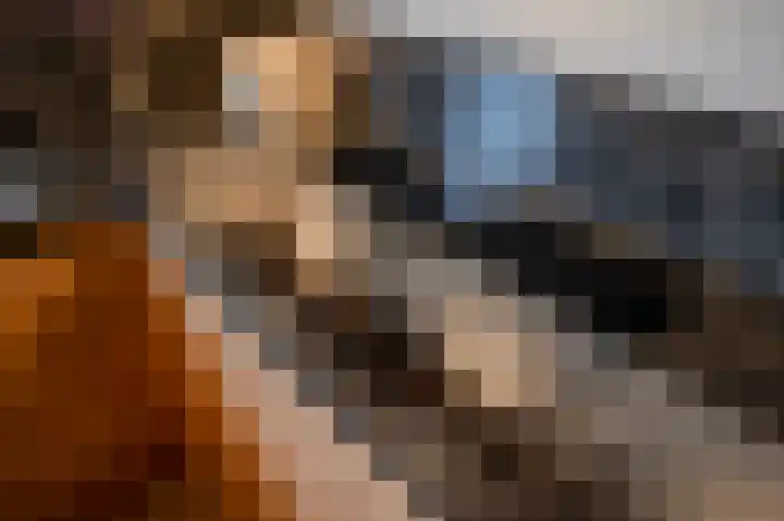 Gevers Deynootweg 111 B Den Haag thumbnail 23