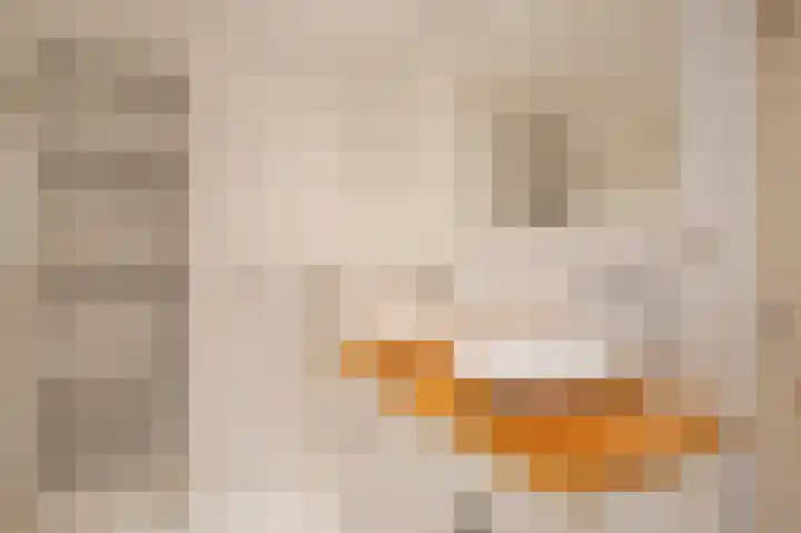 Gevers Deynootweg 111 B Den Haag thumbnail 31