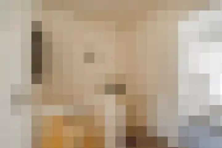Gevers Deynootweg 111 B Den Haag thumbnail 35