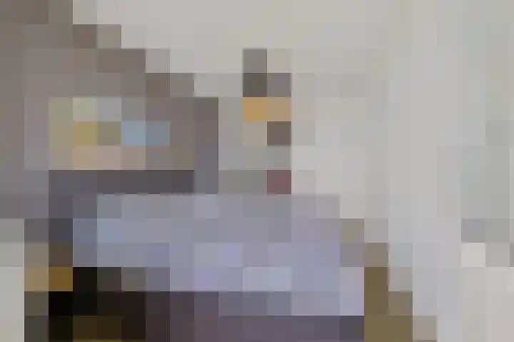 Gevers Deynootweg 1114 Den Haag thumbnail 18