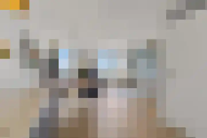 Gevers Deynootweg 1114 Den Haag thumbnail 7
