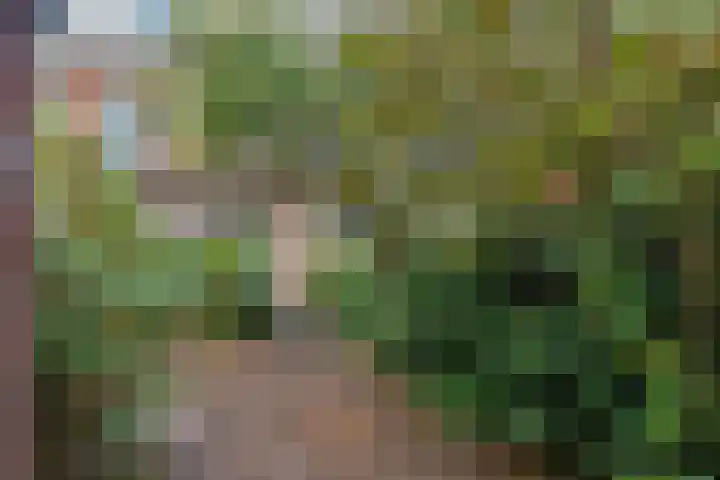 Gevers Deynootweg 125 Den Haag thumbnail 11