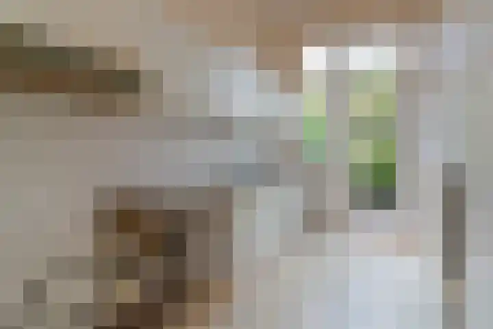 Gevers Deynootweg 125 Den Haag thumbnail 15
