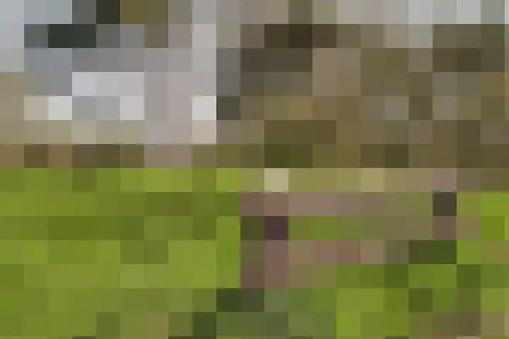 Gevers Deynootweg 125 Den Haag thumbnail 37