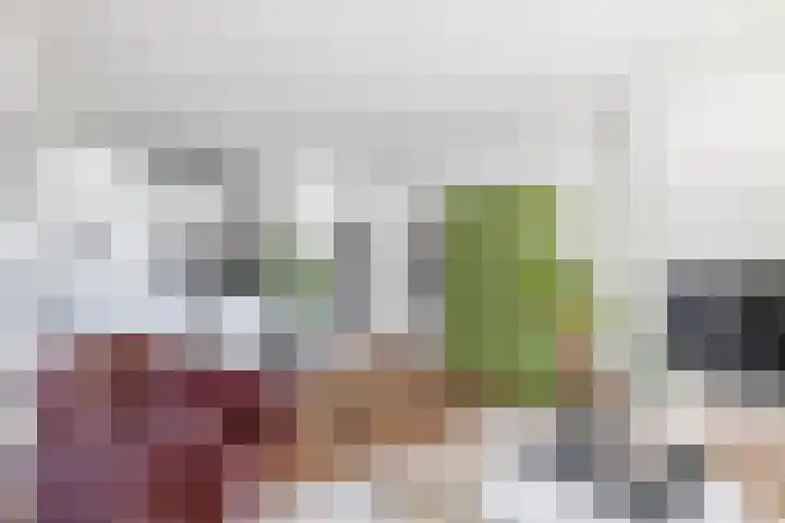 Gevers Deynootweg 1262 D Den Haag thumbnail 14