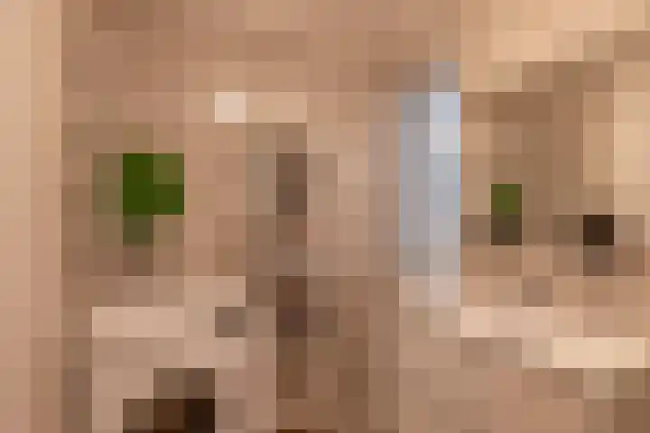 Gevers Deynootweg 1262 D Den Haag thumbnail 23