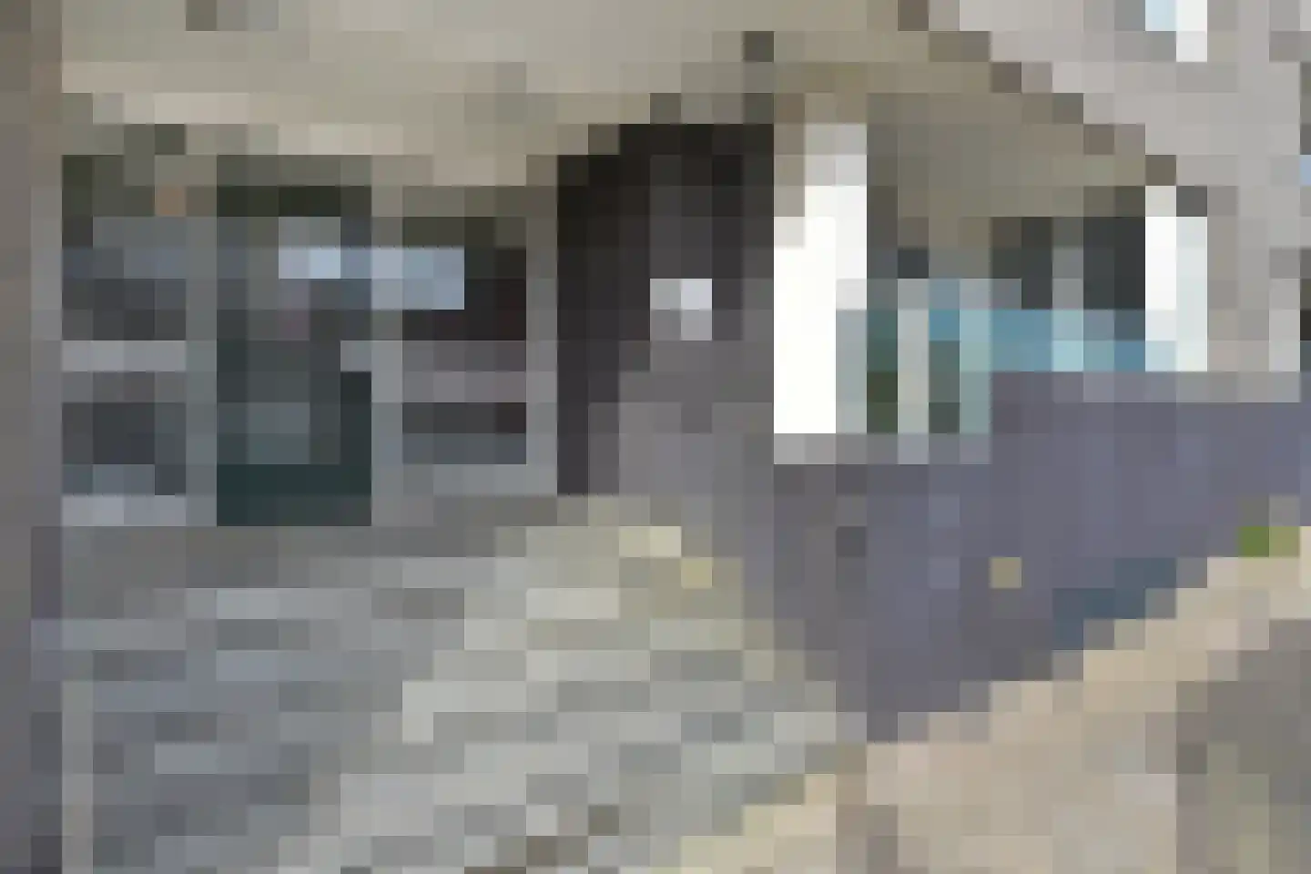 Gevers Deynootweg 1264 A Den Haag thumbnail 6