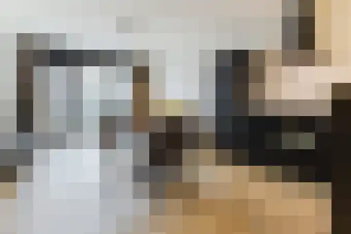Gevers Deynootweg 1266 D Den Haag thumbnail 10