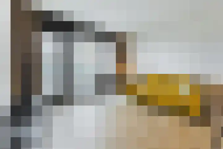Gevers Deynootweg 1266 D Den Haag thumbnail 11