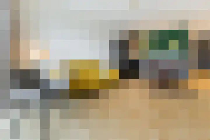 Gevers Deynootweg 1266 D Den Haag thumbnail 15