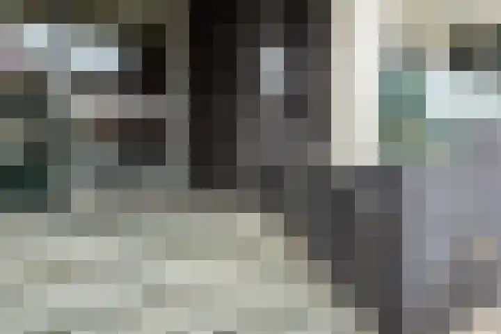 Gevers Deynootweg 1266 D Den Haag thumbnail 6