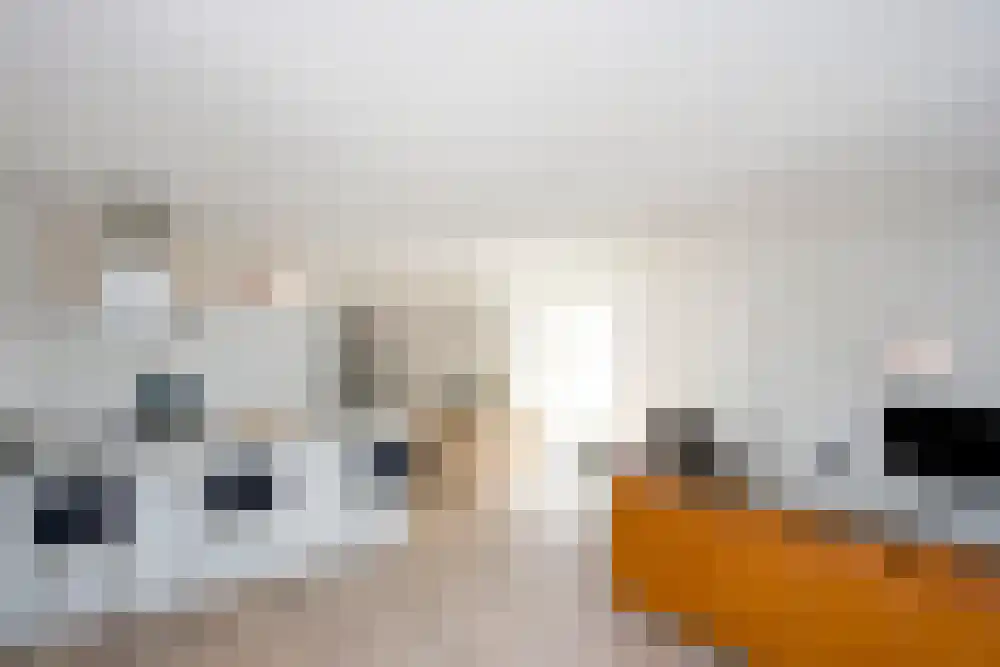 Gevers Deynootweg 19 N Den Haag thumbnail 16