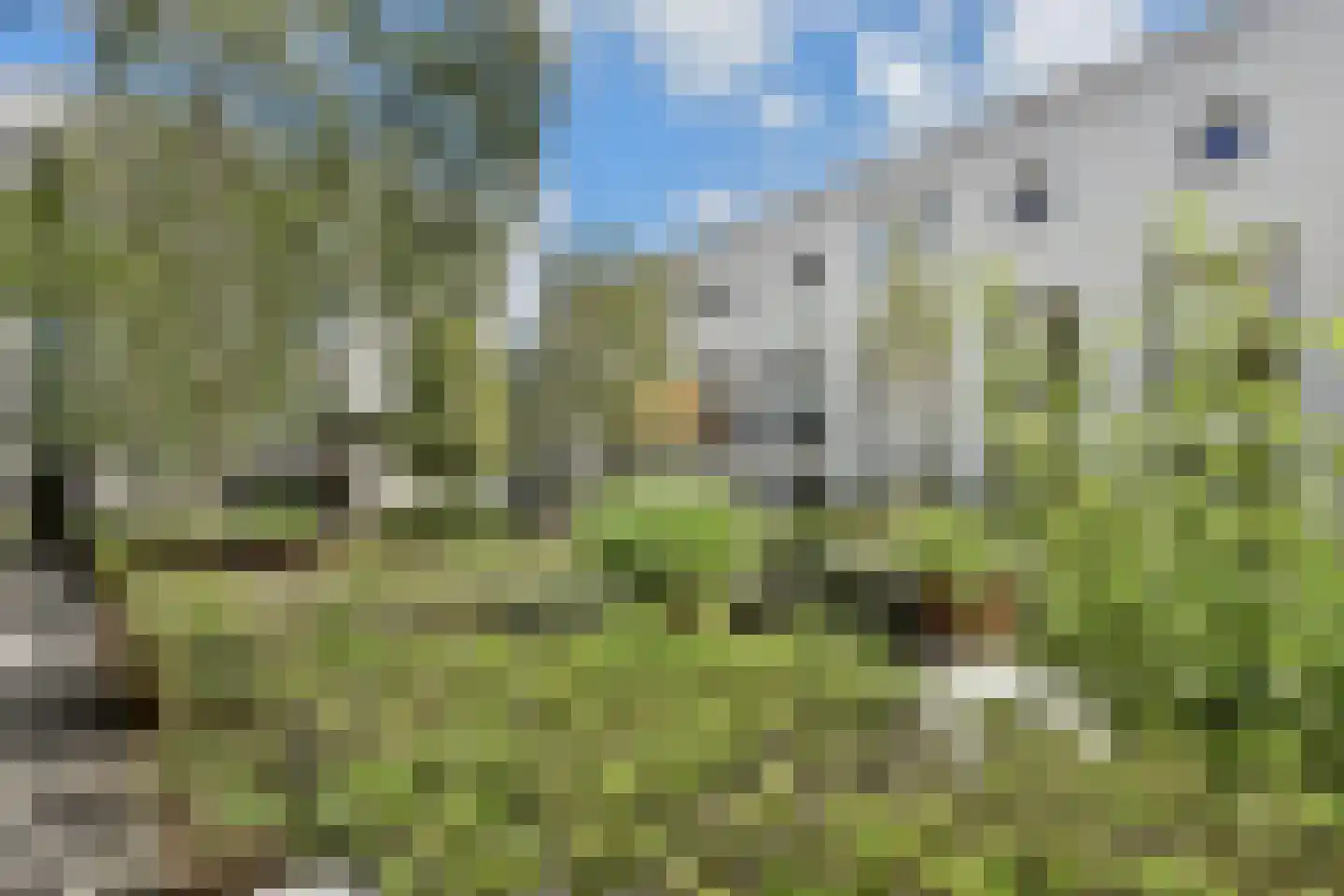 Gevers Deynootweg 19 N Den Haag thumbnail 21