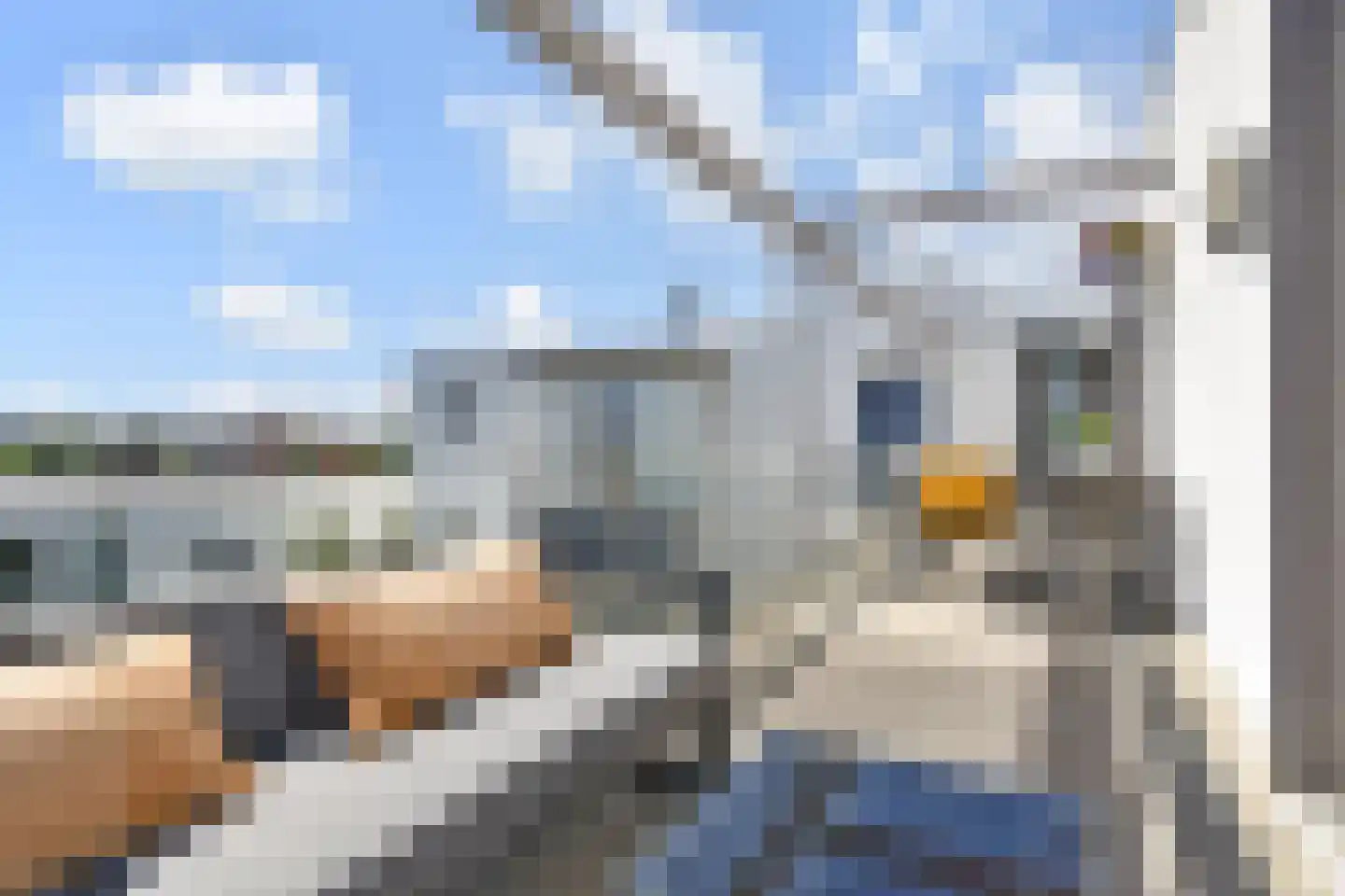 Gevers Deynootweg 19 N Den Haag thumbnail 4
