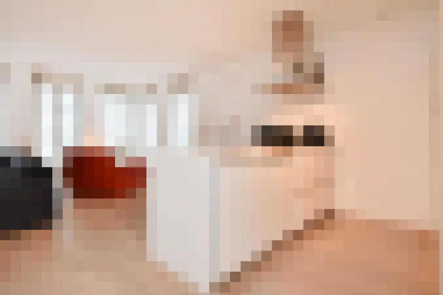 Gevers Deynootweg 19 N Den Haag thumbnail 9