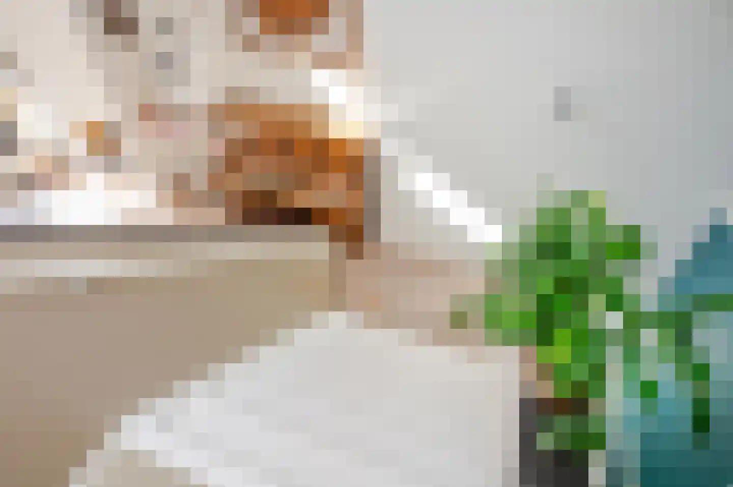 Gevers Deynootweg 21 E Den Haag thumbnail 28