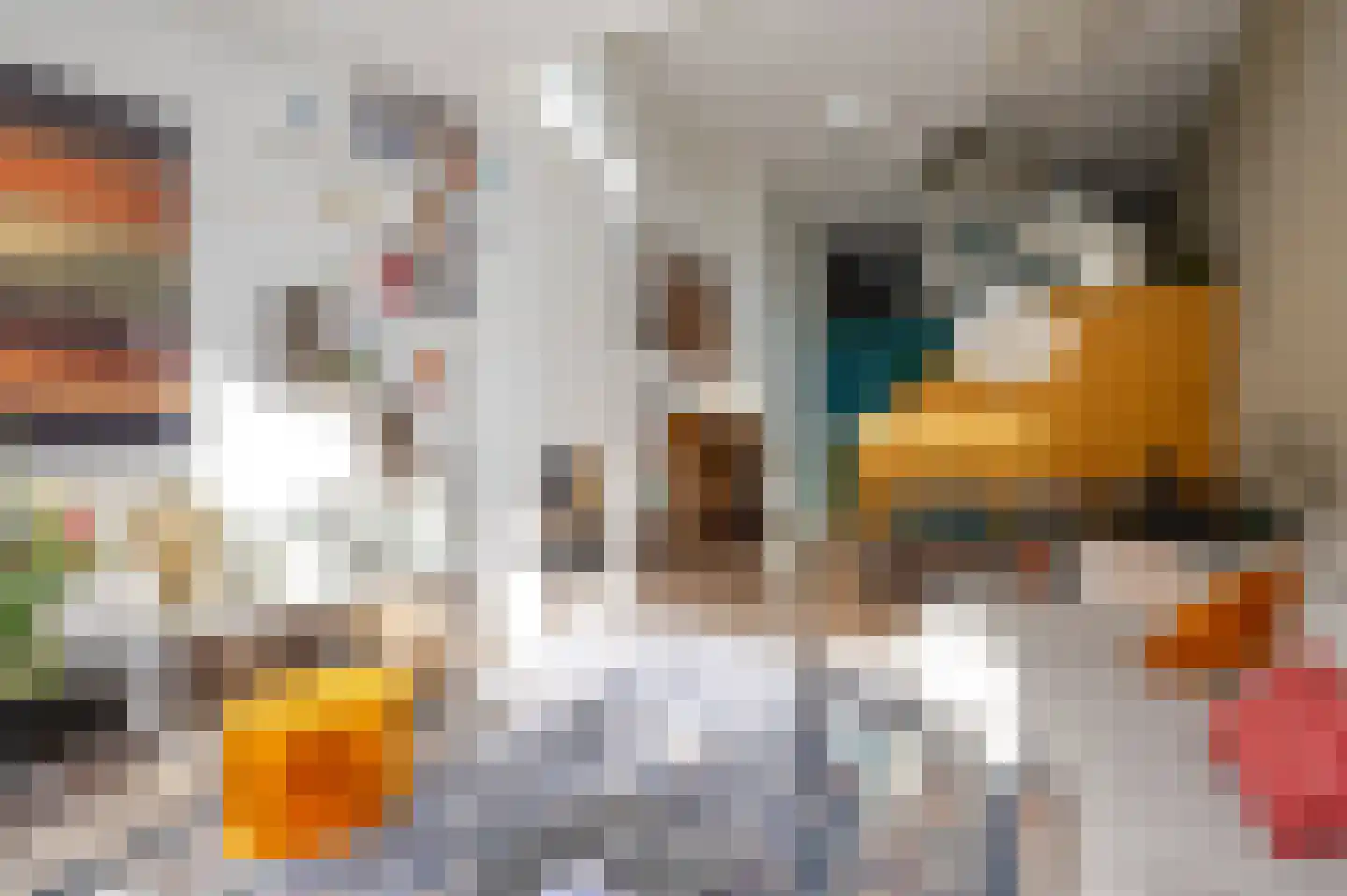 Gevers Deynootweg 21 E Den Haag thumbnail 38