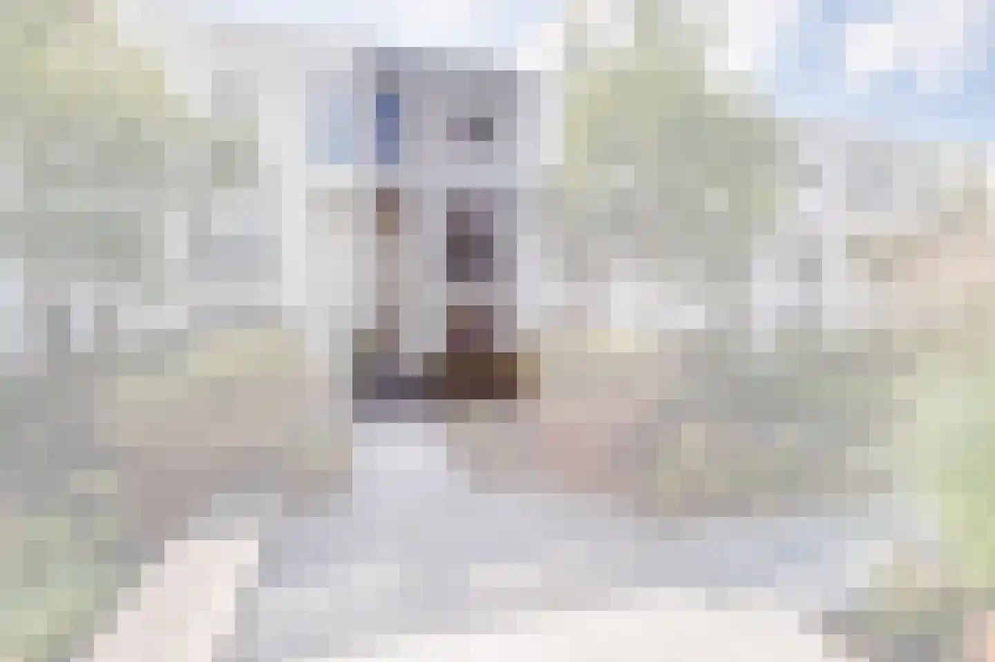 Gevers Deynootweg 21 E Den Haag thumbnail 5