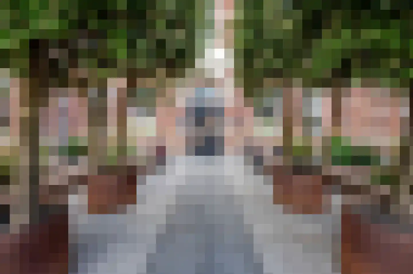 Gevers Deynootweg 21 E Den Haag thumbnail 8
