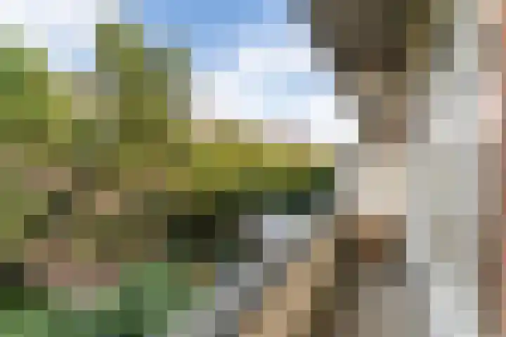 Gevers Deynootweg 36 Den Haag thumbnail 13