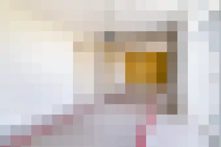 Gevers Deynootweg 36 Den Haag thumbnail 24