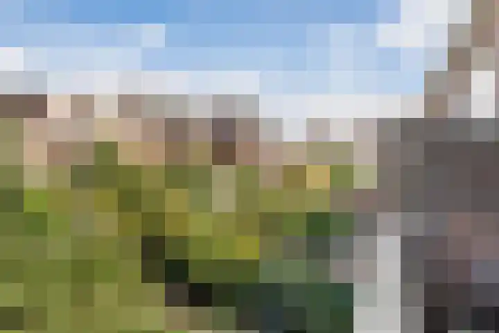 Gevers Deynootweg 36 Den Haag thumbnail 28