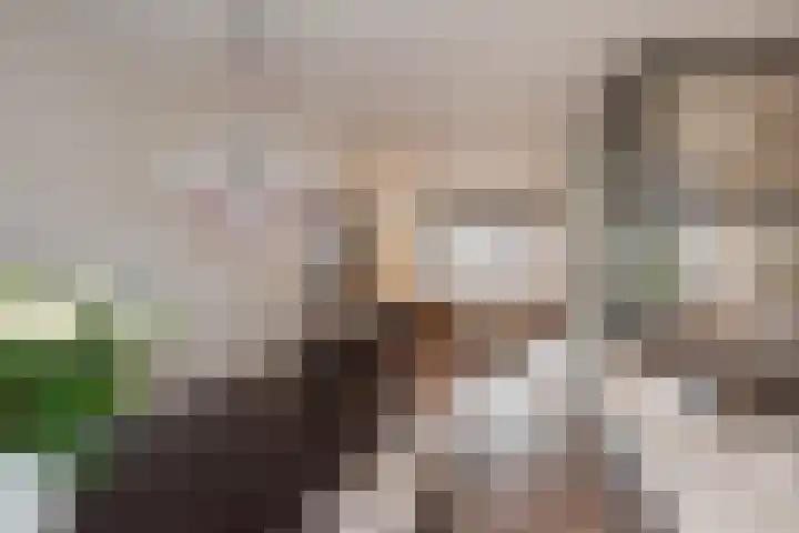 Gevers Deynootweg 42 Den Haag thumbnail 11