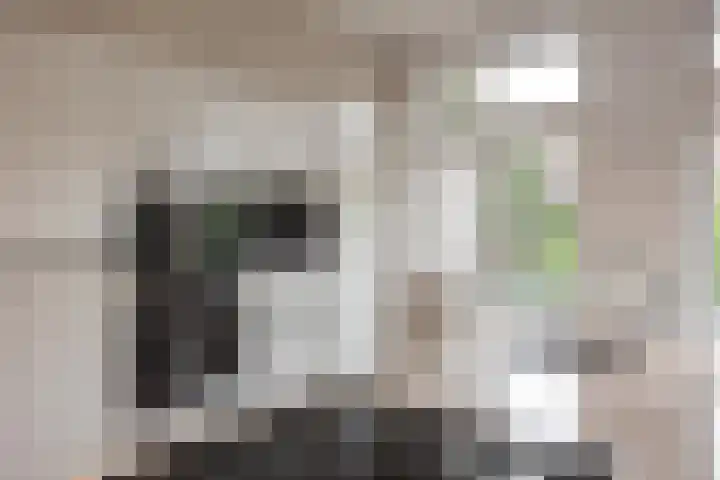 Gevers Deynootweg 42 Den Haag thumbnail 15
