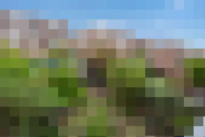 Gevers Deynootweg 42 Den Haag thumbnail 37