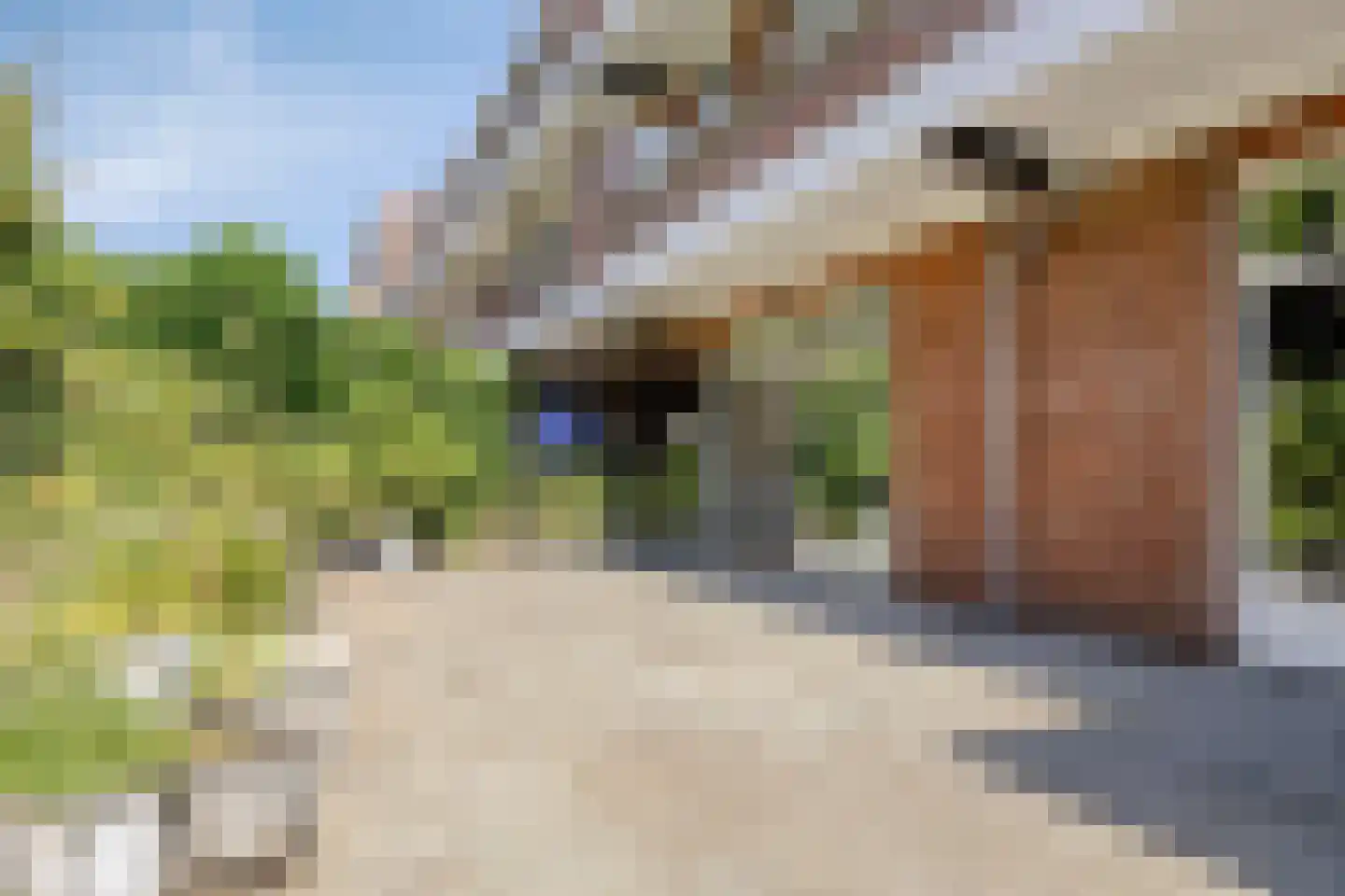 Gevers Deynootweg 44 Den Haag thumbnail 8