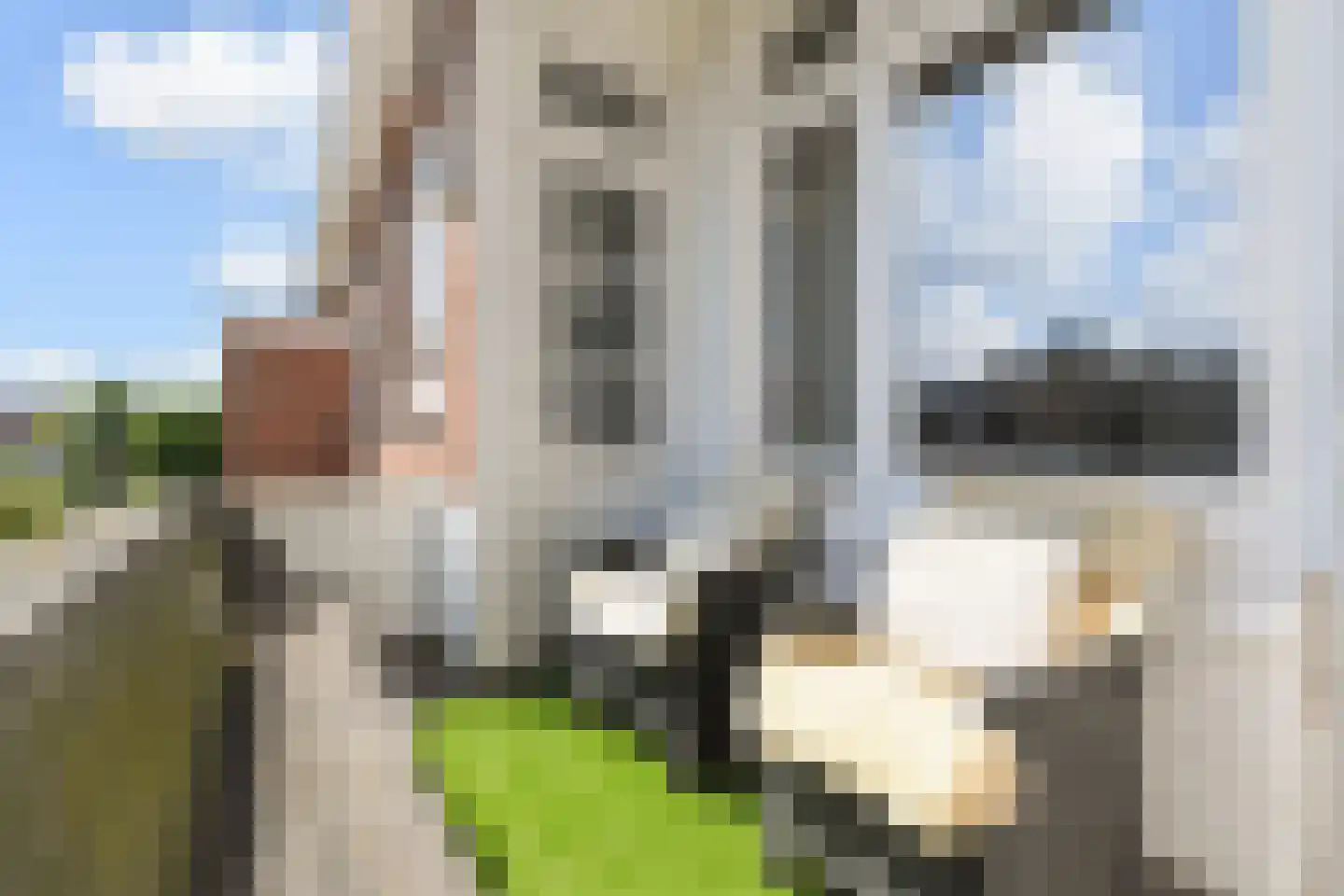 Gevers Deynootweg 53 C Den Haag thumbnail 19
