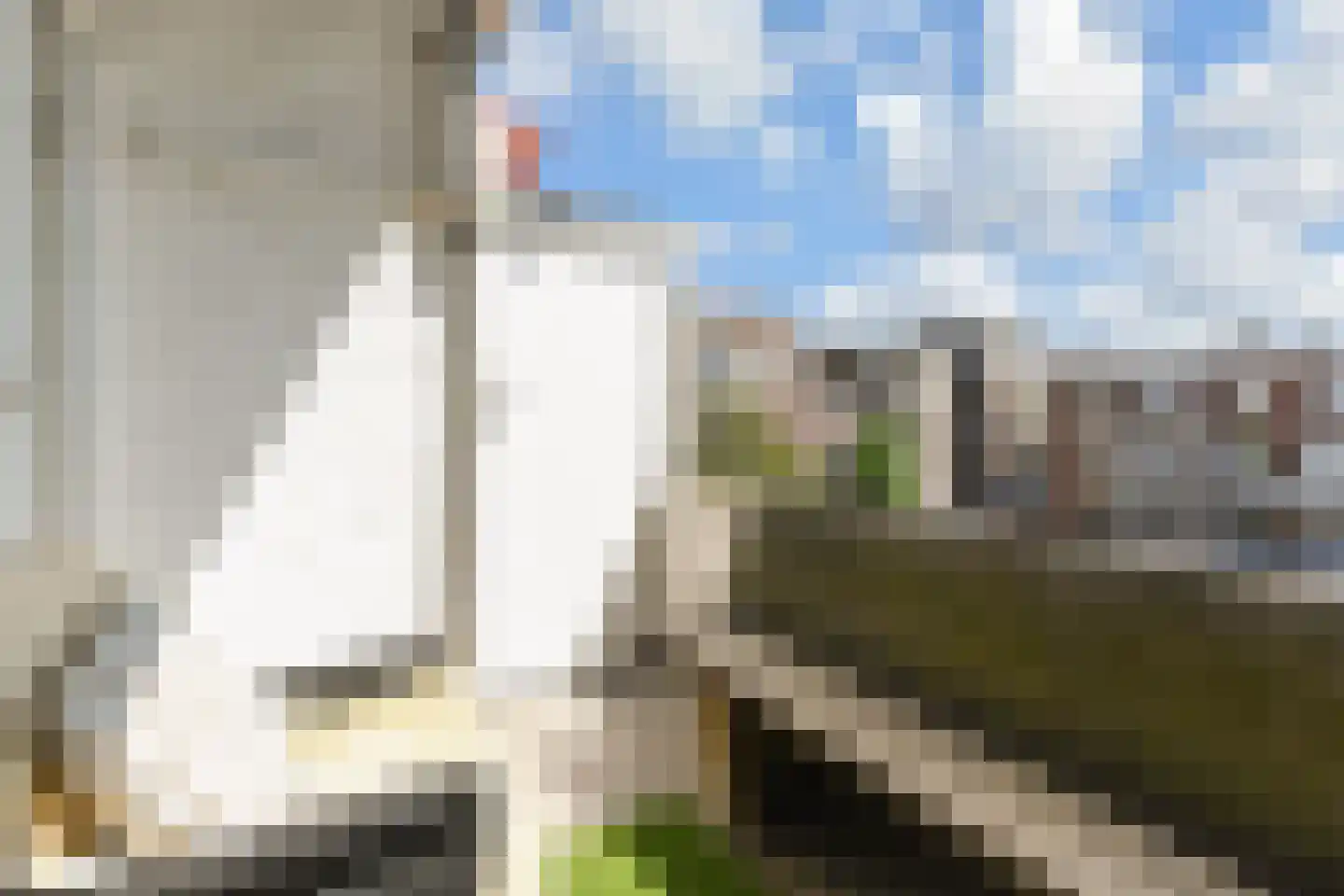 Gevers Deynootweg 53 C Den Haag thumbnail 20