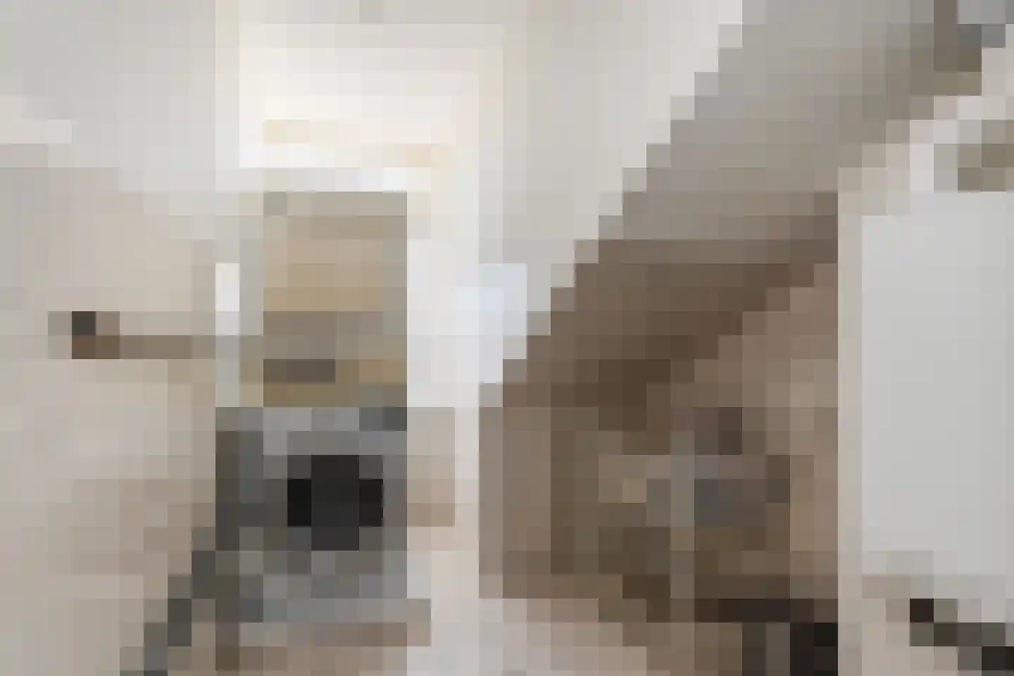 Gevers Deynootweg 53 C Den Haag thumbnail 37