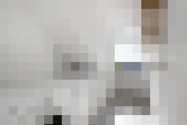 Gevers Deynootweg 55 B Den Haag thumbnail 37