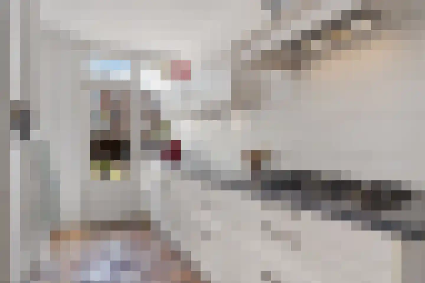 Gevers Deynootweg 55 Den Haag thumbnail 23