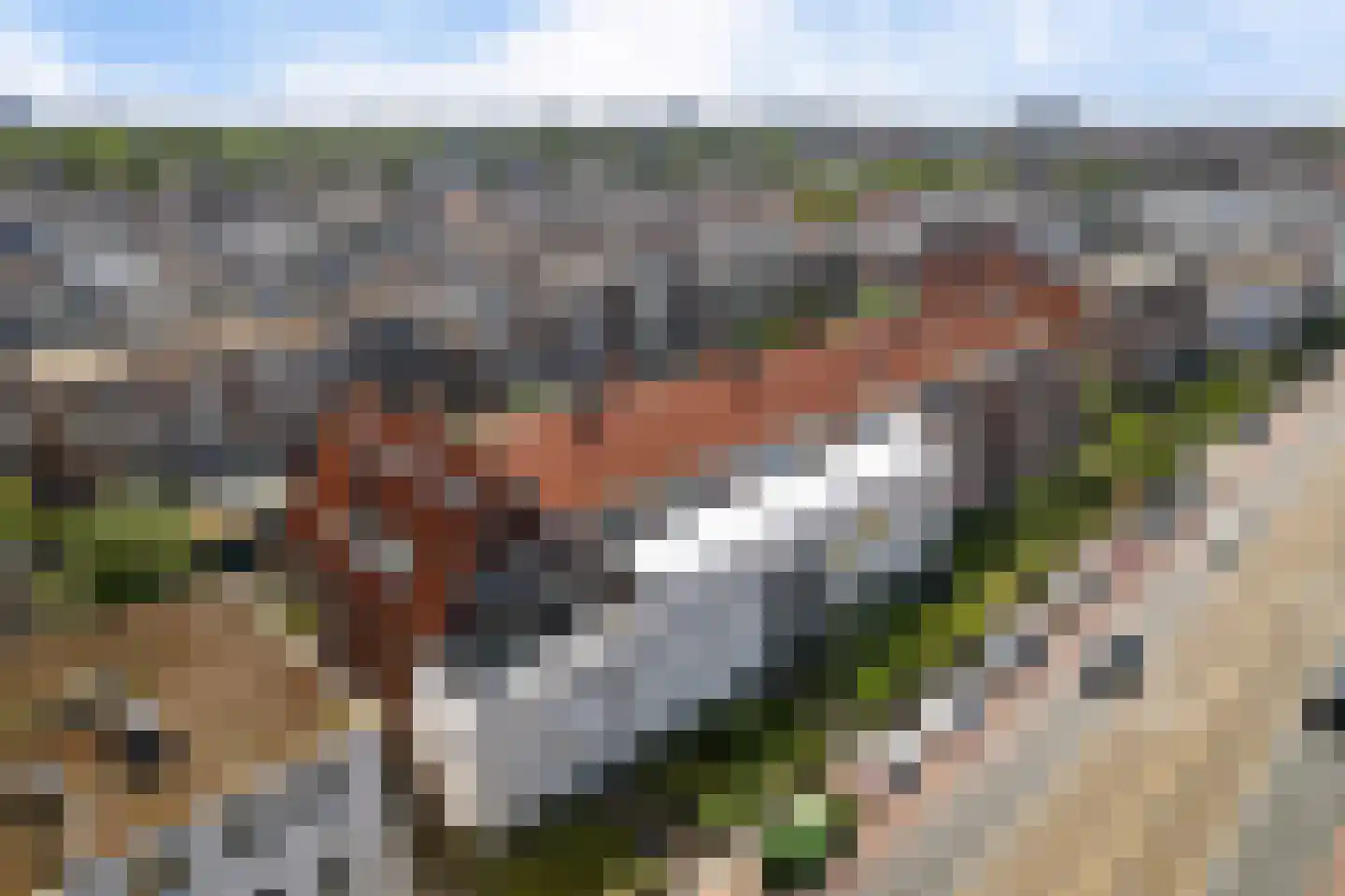 Gevers Deynootweg 55 Den Haag thumbnail 5