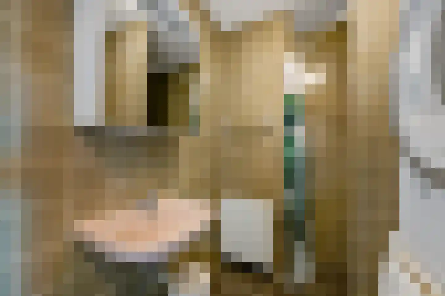 Gevers Deynootweg 568 Den Haag thumbnail 29