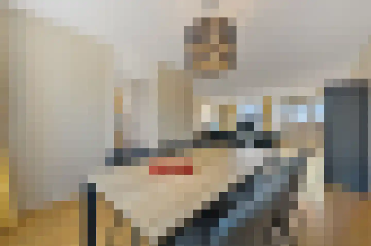 Gevers Deynootweg 568 Den Haag thumbnail 8