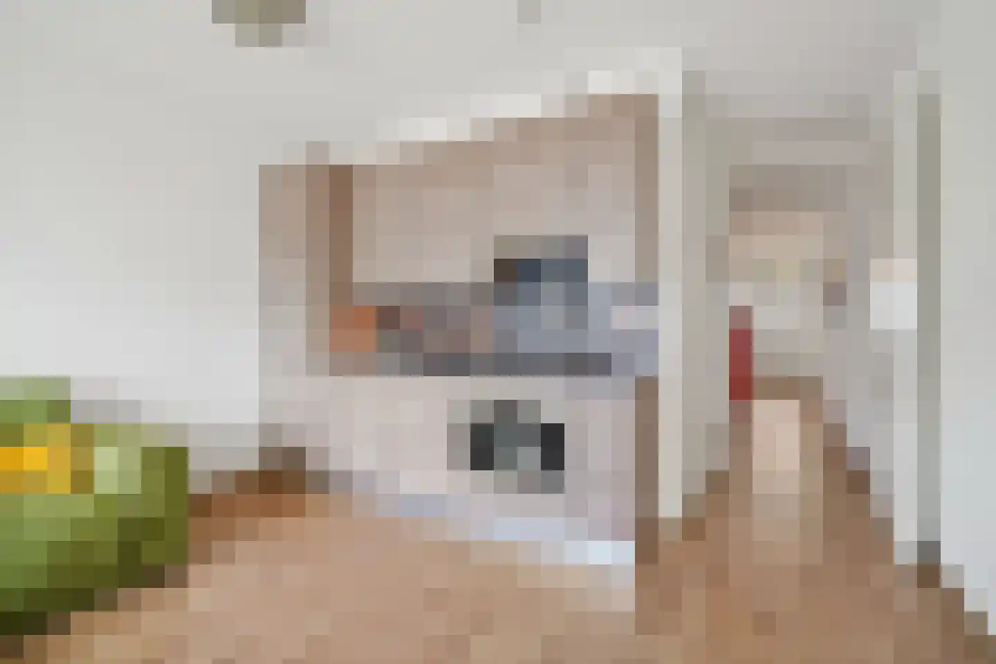 Gevers Deynootweg 57 R Den Haag thumbnail 20