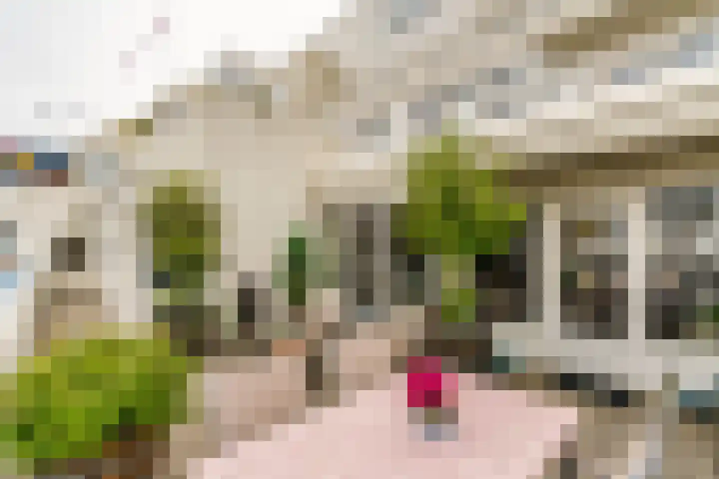 Gevers Deynootweg 582 Den Haag thumbnail 23