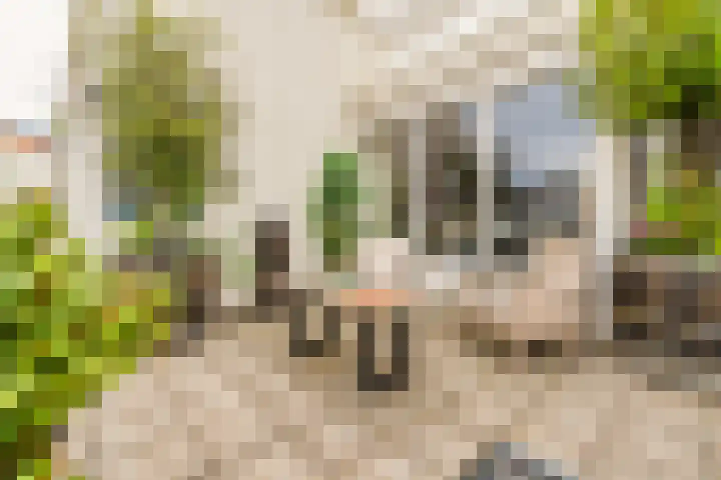 Gevers Deynootweg 582 Den Haag thumbnail 24