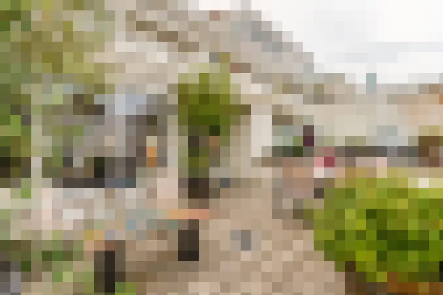 Gevers Deynootweg 582 Den Haag thumbnail 25