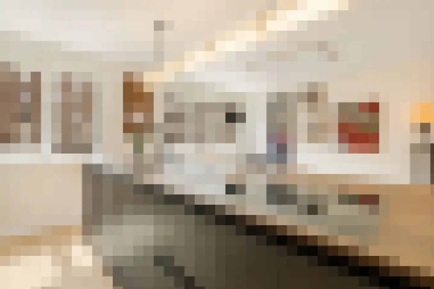 Gevers Deynootweg 582 Den Haag thumbnail 39